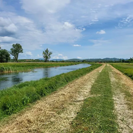 Royal Hotel apartamentowy *